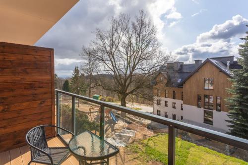Apart Invest Green Park Resort B3-z dostępem do strefy spa, Szklarska Poręba (photo 11)