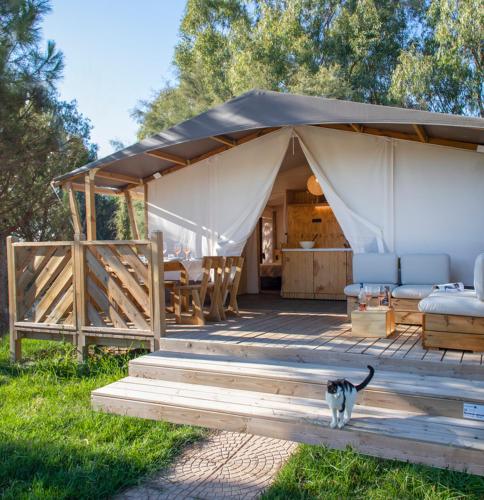 Camping Village Il Gineprino, Bibbona - 2026 Reviews, Pictures & Deals
