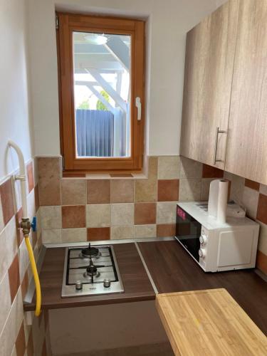 Bazsalikom-Apartman in Mezokovesd