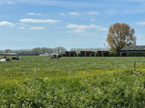 Hotelhuisjes Andijk