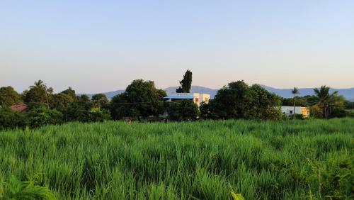 VedKasturi Farmstay - Agrotourism