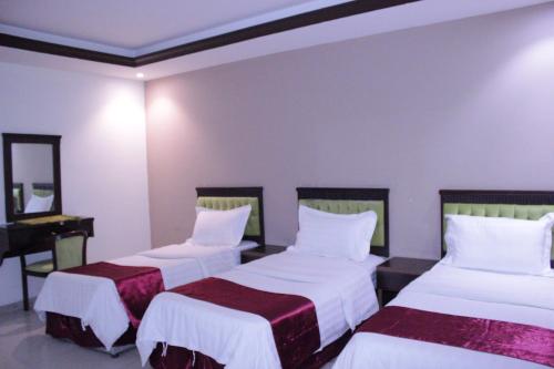 Deluxe Triple Room image 5