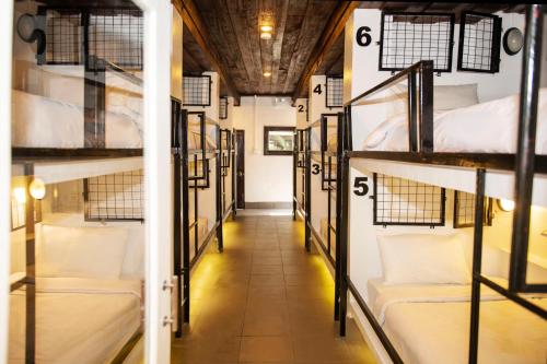 Bunk Bed in Mixed Dormitory Room image 4