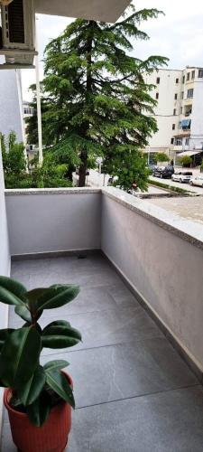Berat Apartment AAA, Berat (fotografie 4)