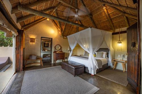 Safari Lodge - Amakhala Game Reserve