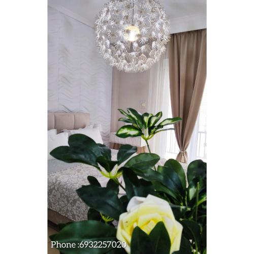 2 bedrooms, 3 beds