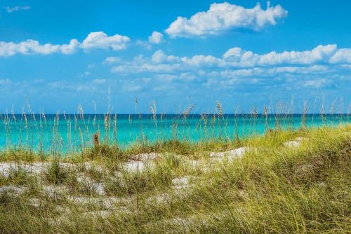 Calypso 1-203 East by RealJoy Vacations - image 3