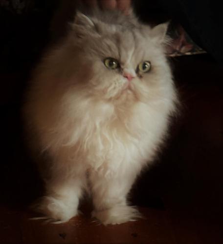 B&B on seven acres with private bed & bath