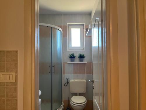 Sunny Day Mandre in 柯蘭