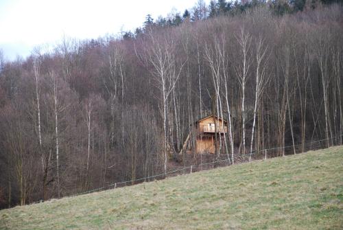 Treehouse Velké Losiny