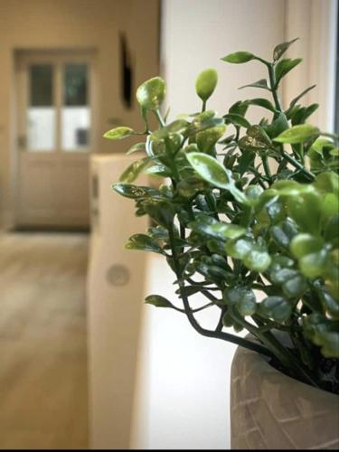 Picture of Moat View Free Parking, Central, Ev Plug