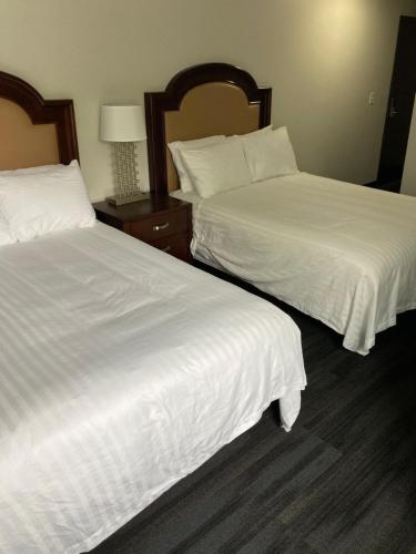 Elker Inn & Suites - image 7