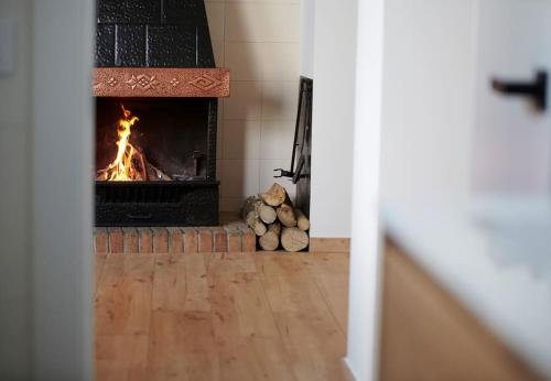 Can Mosqueroles casa en Castellfollit de la Roca gîte à louer Begudà