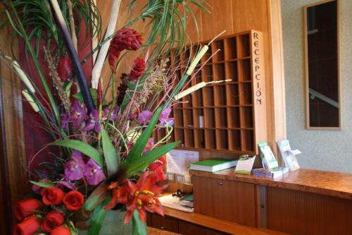 Hotel Rio Mar - image 5