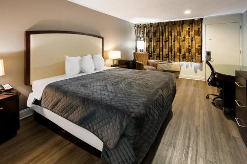 1 king bed