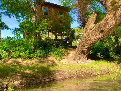 Cozy Treehouse with private sand beach - Hotel - Blagaj