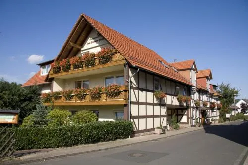 Brauner Hirsch in Hann. Münden, Deutschland