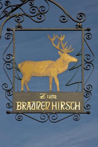 Brauner Hirsch 2