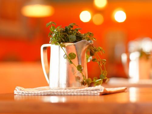 Hotel & Restaurant zum Beck - image 4
