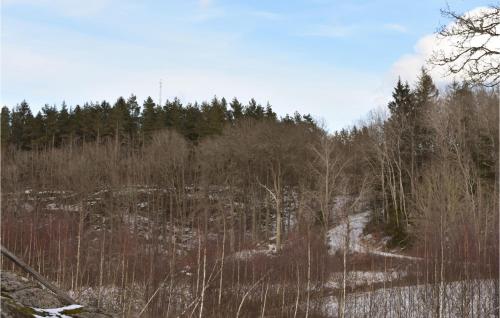 Viesnīcas āriene, Lovely Home In Tving With Wifi in Tving