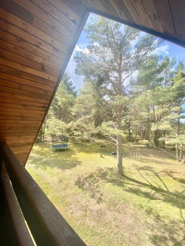 Surrounding environment, Manniliiva puhkemaja in Hiiumaa