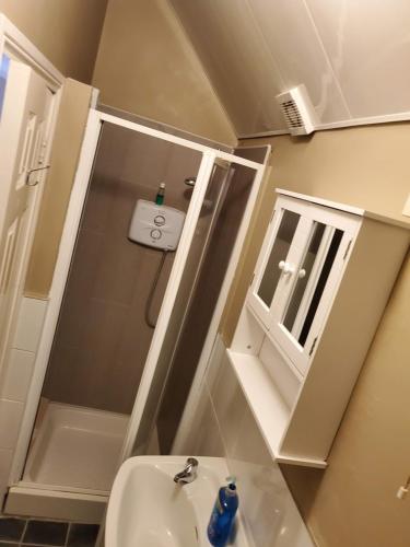 Bathroom, Apt. 2 - Town Centre Apartment in Bagenalstown