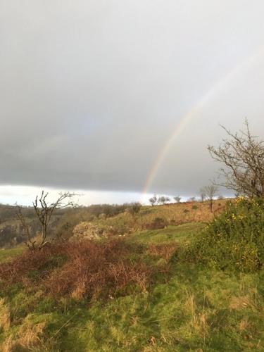A környék, The Old Police House in Cheddar