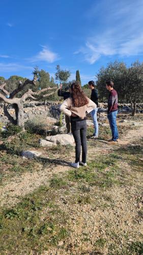 Can Barraca - image 3