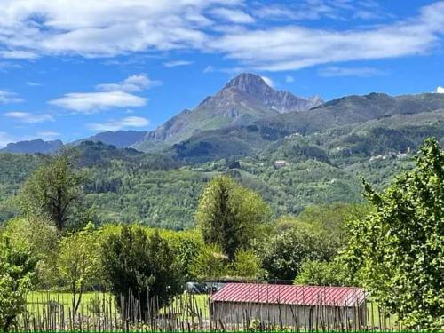 Affittacamere La Foresta di Sopra