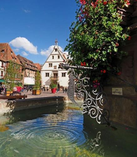 L'Appar'T - Centre historique de Obernai in 奧貝奈