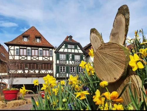 L'Appar'T - Centre historique de Obernai in 奧貝奈