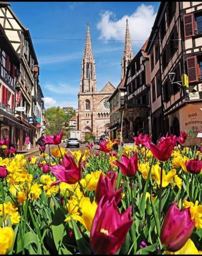 L'Appar'T - Centre historique de Obernai in 奧貝奈