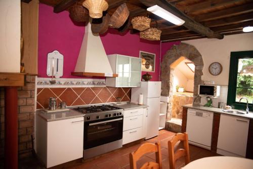 köök, Casa de Piñeiro y SPA Opcional con coste extra (Casa de Pineiro y SPA Opcional con coste extra) in Oroso