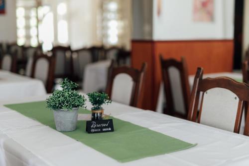 Restoran i sobe Savić (Restoran i sobe Savic) in Gornji Budacki