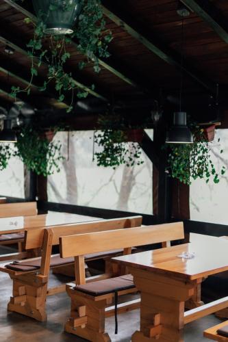 Restoran i sobe Savić (Restoran i sobe Savic) in Gornji Budacki