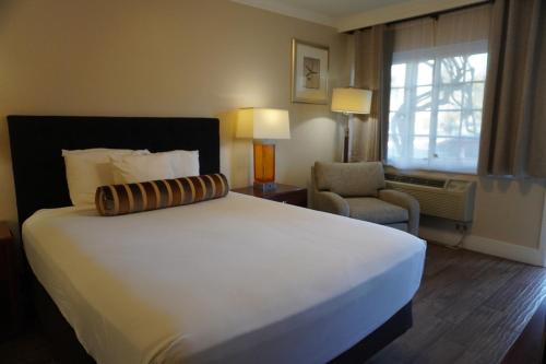 Rose Garden Inn - image 11