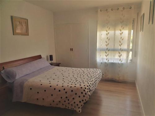 Excelente apartamento en el Pirineo aragonés