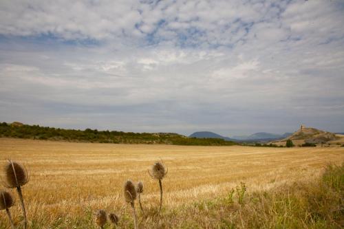A környék, Casa Campo, Casa Rural entre Jaca y Ansó (Casa Campo, Casa Rural entre Jaca y Anso) in Biniés