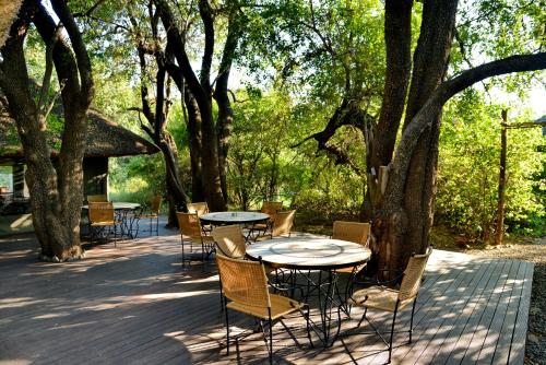 Black Rhino Game Lodge