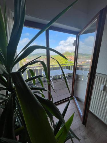 景观, Ferienwohnung See-Ländle 1 (Ferienwohnung See-Landle 1) in 西普林根