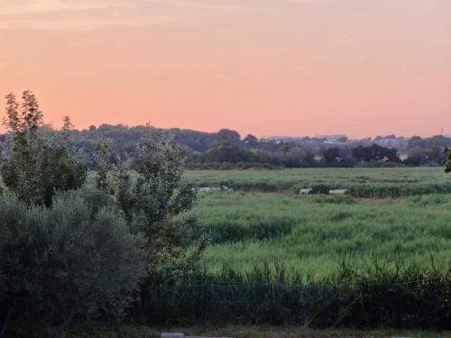 Gîtes de l'Estagnol - Frontignan
