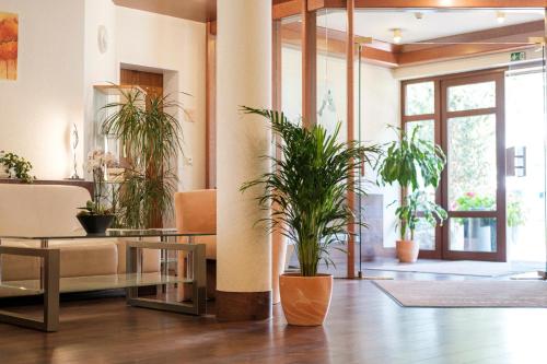 ردهة, Hotel Flora Mohringen in موهرينغن