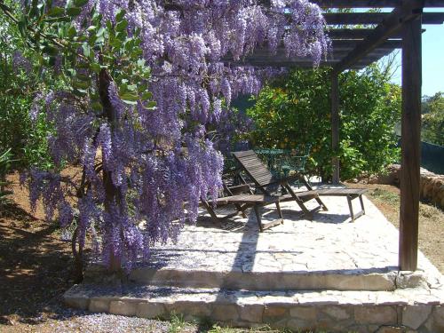 花園, Casa Boa Sorte in 聖巴巴拉德內希