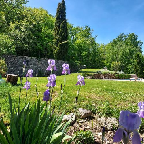 MANOIR Le Moulinal47 - vue panoramique