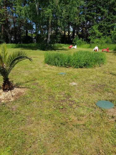 Kilátás, 02 - Tres joli 2 pieces avec 3 lits pouvant accueillir jusqu'a 5 personnes, situe au rdc avec entree in Razac Sur L'Isle