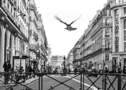 Наличие на забележителност наблизо, Appart XL "So cosy"- 4 beds - 8 pax - free Parking - Near Paris in Епине сюр Сен