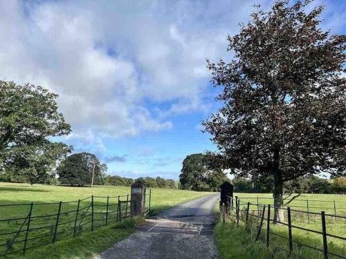 Secluded Pine Lodge 2 in Boltons