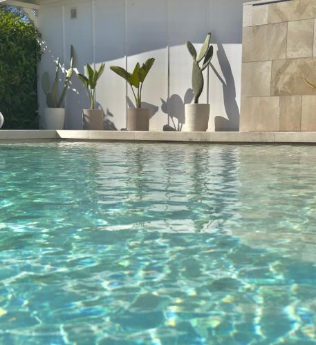 Panacea Residence B&B - image 14