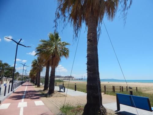 Case Vacanze Ancora - image 13