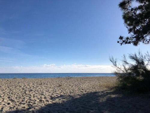 2026 - grand studio avec piscine et plage à 50 m 2
